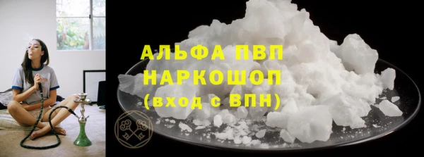 PSILOCYBIN Бугульма