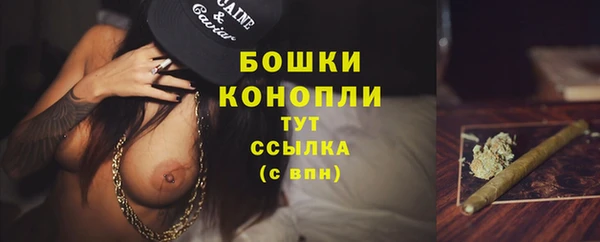 PSILOCYBIN Бугульма
