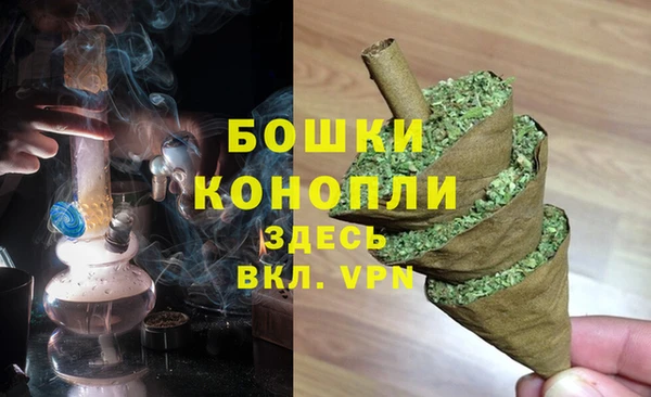 PSILOCYBIN Бугульма